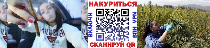 Бошки марихуана план Туринск
